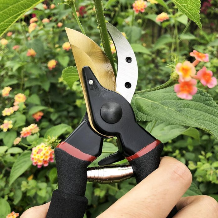 Gonicc 8" Professional Secateurs Premium Titanium Bypass Pruning Shears